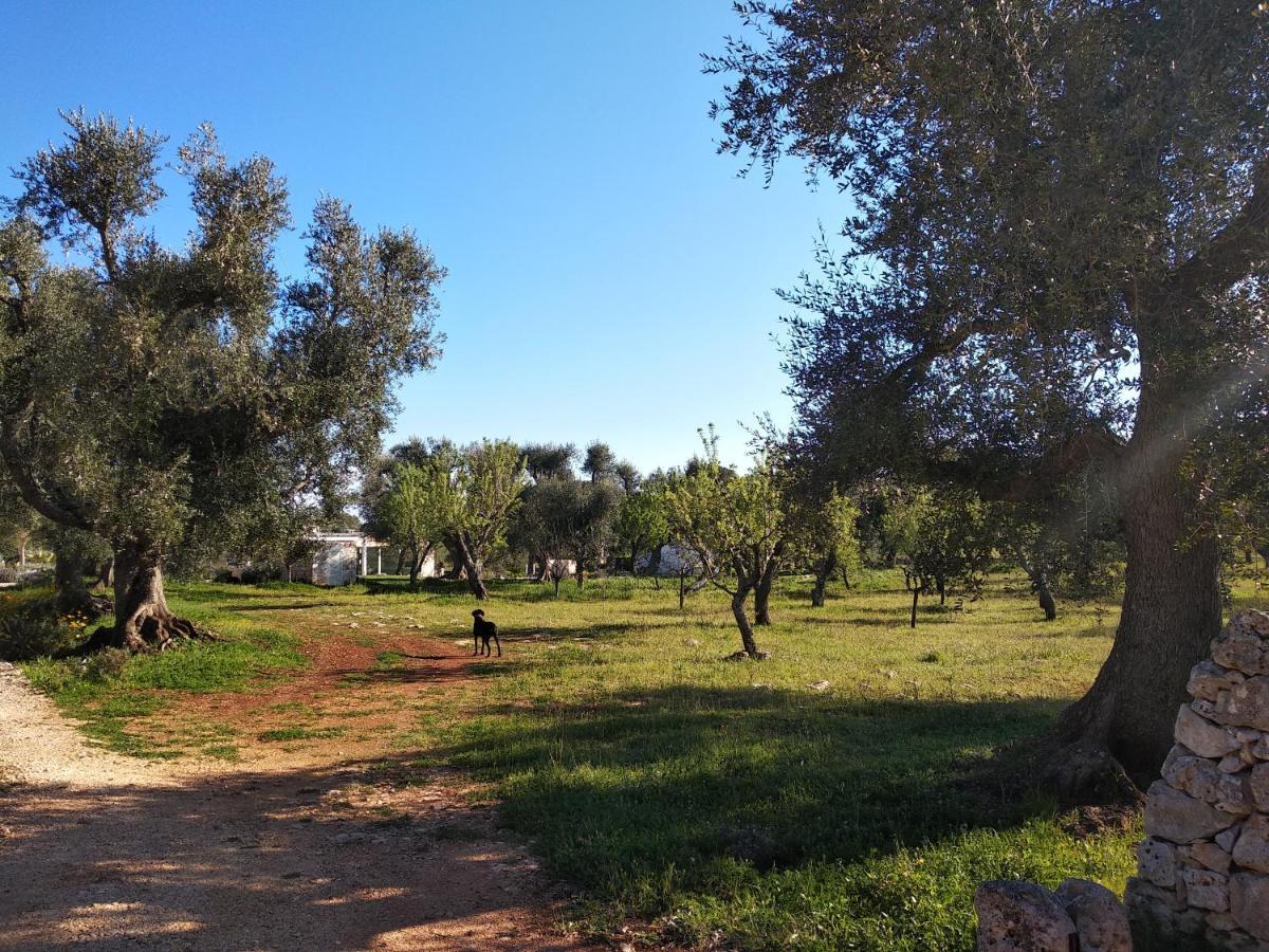 Piccolo Trullo Ostunese Le Jardin De Sophie' Ostuni Exterior foto