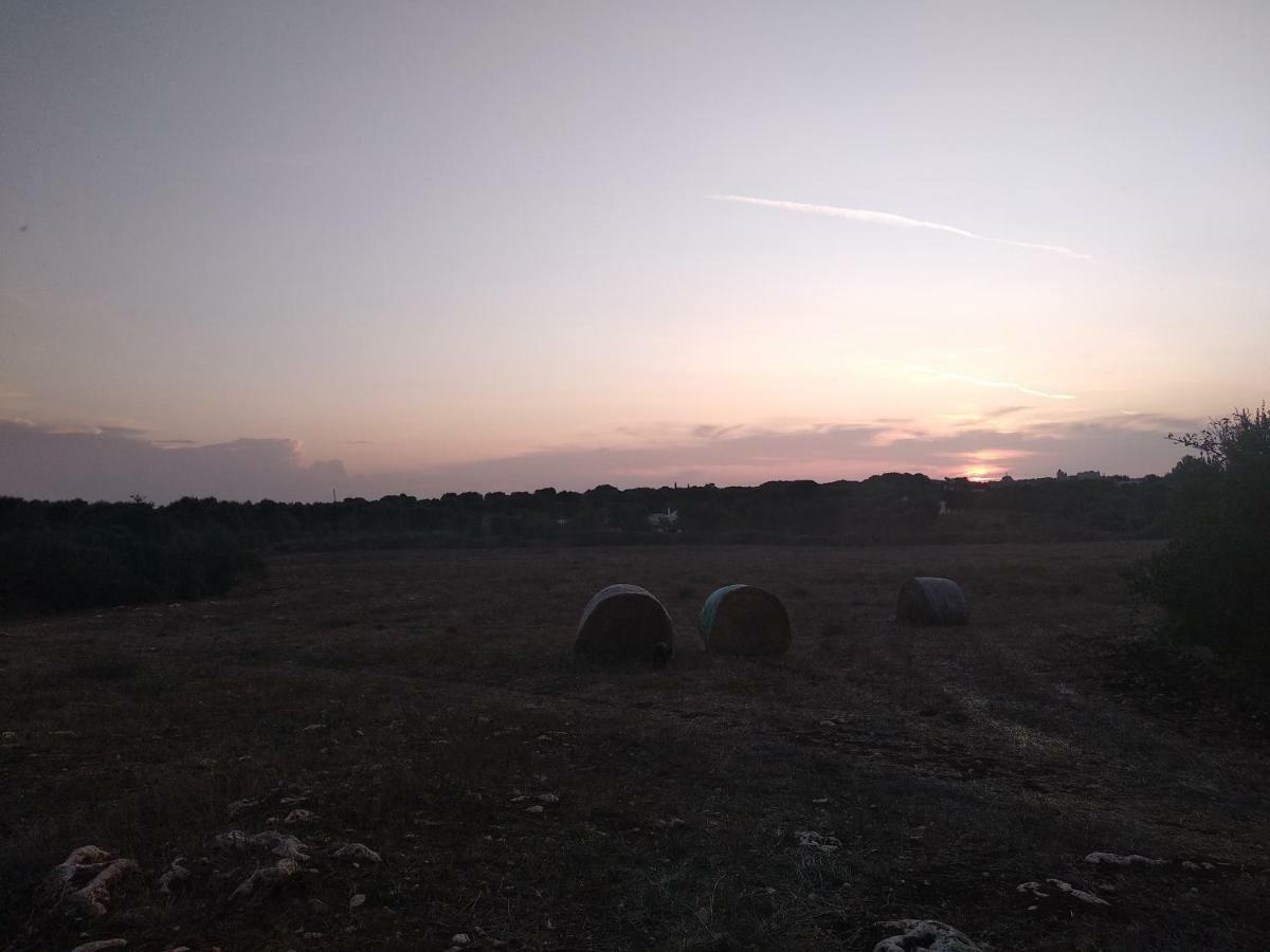 Piccolo Trullo Ostunese Le Jardin De Sophie' Ostuni Exterior foto